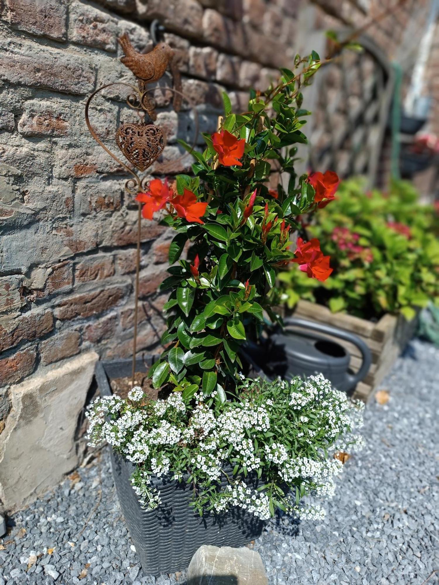 B&B Ferme Du Petit Breuil Verviers Exteriér fotografie